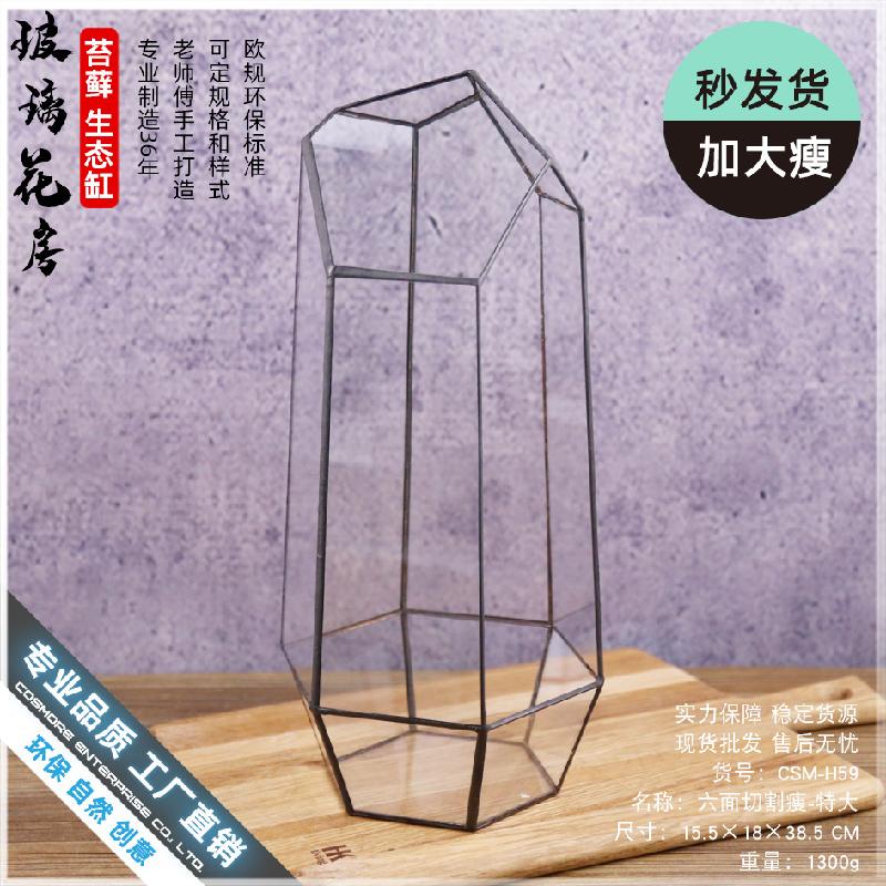 Chậu Đa Giác Nhà kính 6 mặt cắt lớn Terrarium (DG-230)