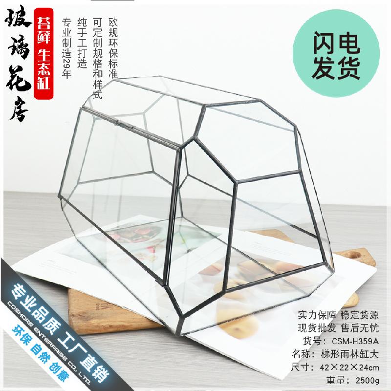 Chậu Đa Giác Bể kính thủy sinh Terrarium, bể rừng mưa mini (DG-56)