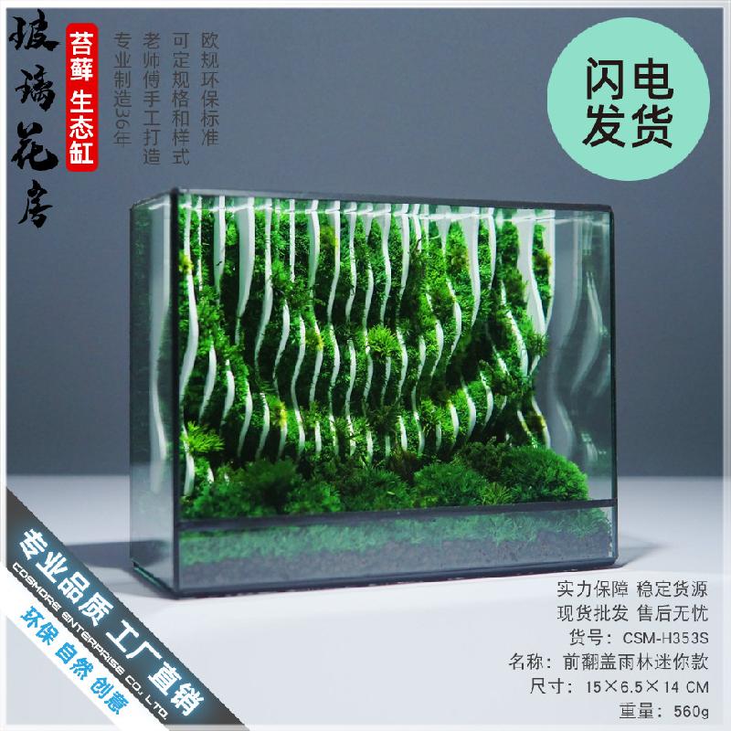 Chậu Đa Giác Bể kính rêu cảnh thủy sinh (DG-25)