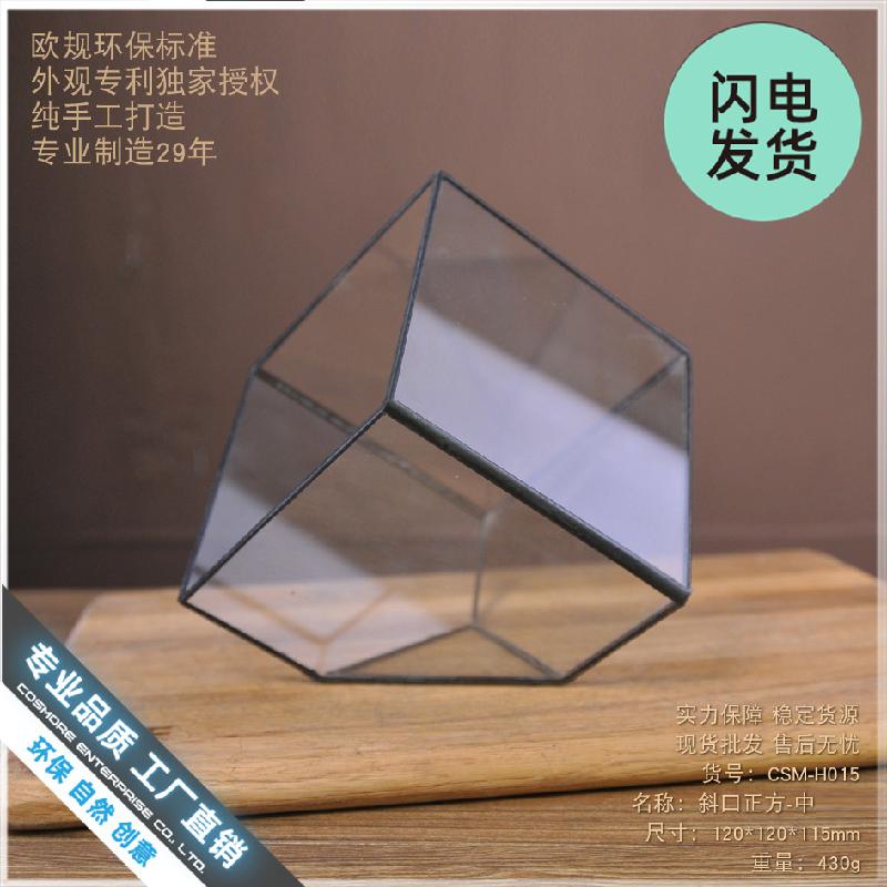 Chậu Đa Giác Nhà kính vuông Terrarium hoa bất tử (DG-227)