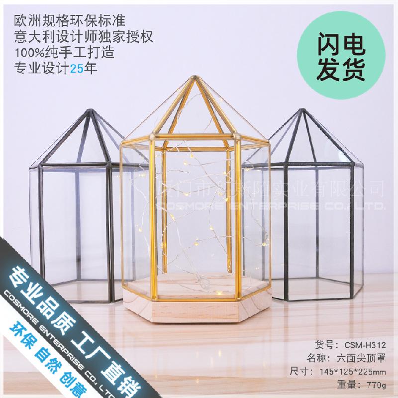 Chậu Đa Giác Chụp kính đỉnh nhọn đế gỗ trang trí, nhà kính hoa bất tử (DG-137)