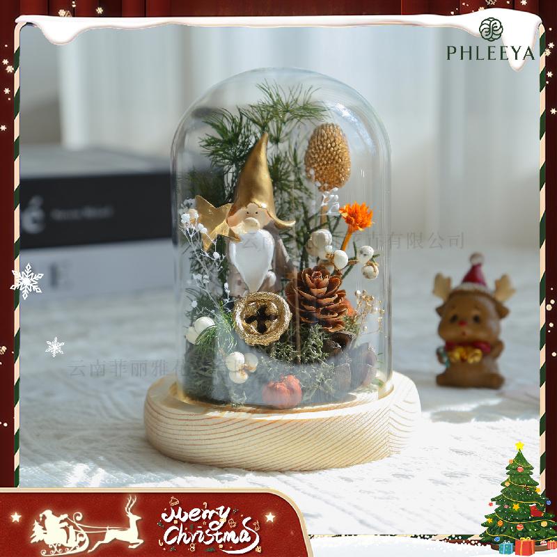 Hoa khô trang trí Hoa hồng vĩnh cửu cây thông Noel quà Valentine Thất Tịch (HK-80)
