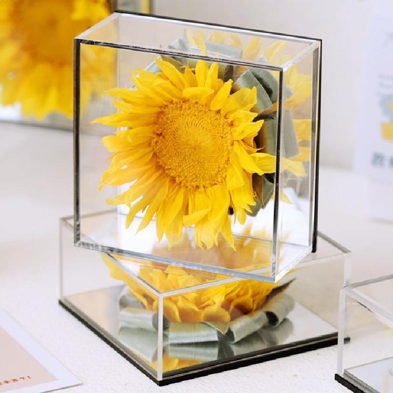 Hoa khô trang trí FY-147