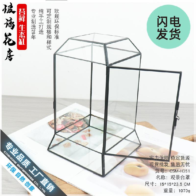 Chậu Đa Giác Bình sinh thái rêu cảnh DIY, bể rừng mini (DG-75)