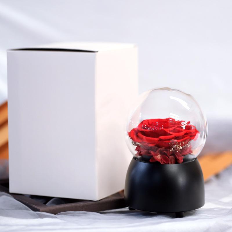 Hoa khô trang trí FY-161