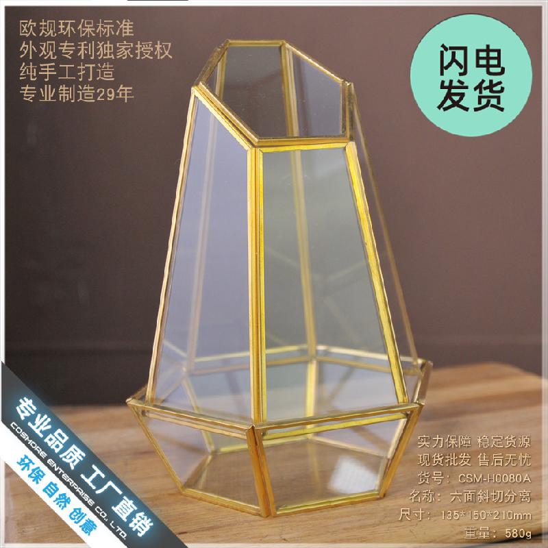 Chậu Đa Giác Nhà kính hình học viền đồng, hoa bất tử (DG-116)