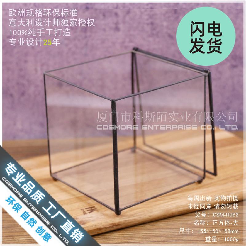 Chậu Đa Giác Nhà kính vuông lớn Terrarium (DG-41)