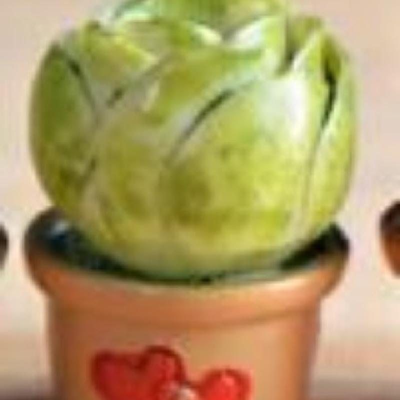 Tiểu cảnh chậu xương rồng nhỏ, trang trí bàn làm việc mini (ZC-333)