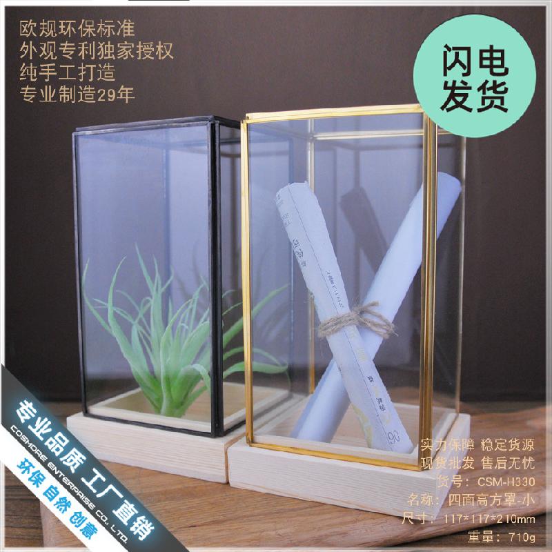 Chậu Đa Giác Chụp kính decor văn phòng, bàn làm việc (DG-133)