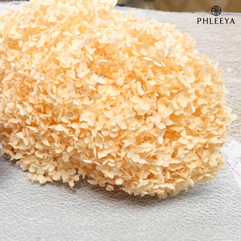 Hoa khô trang trí Cẩm tú cầu Anna vĩnh cửu 20g DIY hoa khô trang trí (HK-32)