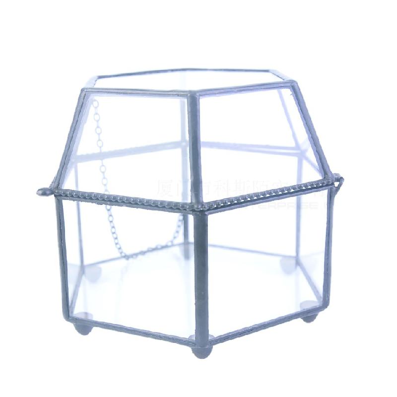 Hộp kính 6 mặt Terrarium sen đá (DG-217)