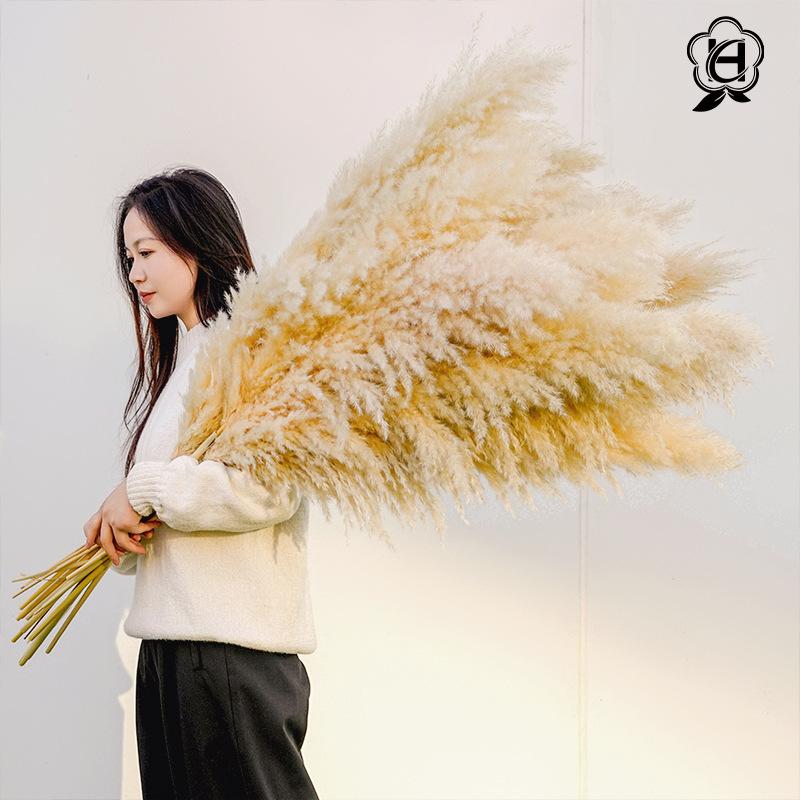 Hoa khô trang trí Cỏ lau Pampas khô bó hoa trang trí cưới phong cách châu Âu (HK-61)
