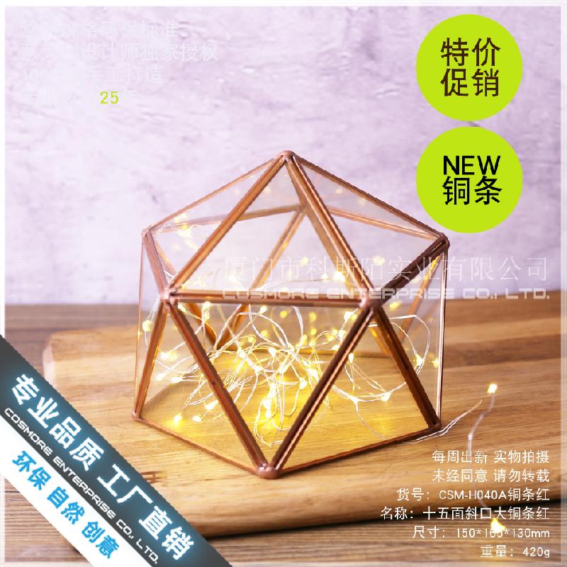 Chậu Đa Giác Nhà kính 15 mặt viền đồng, hoa bất tử (DG-166)