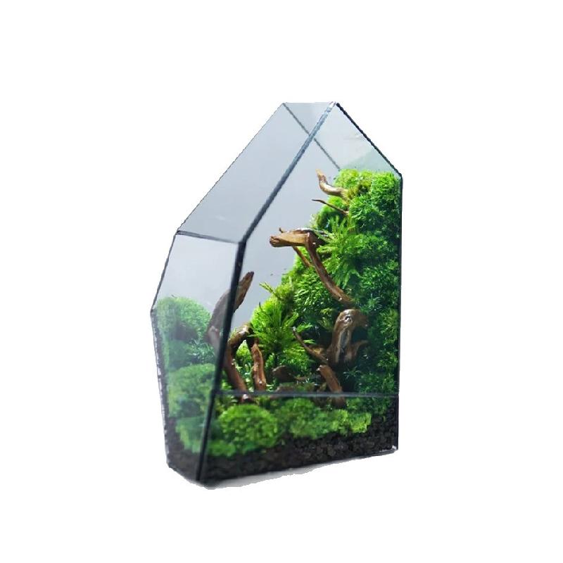 Bể rừng mưa Terrarium kính (DG-34)