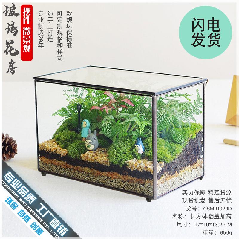 Chậu Đa Giác DG-52 Hộp kính hình hộp chữ nhật có kính cao với phong cảnh nhỏ của hoa bền vững và thảo mộc