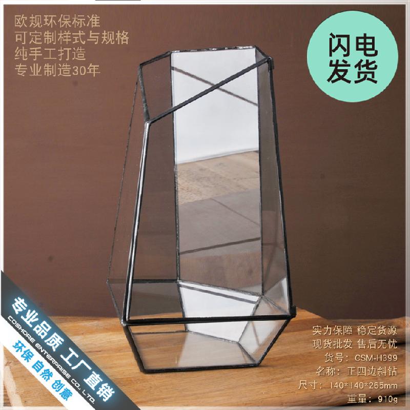 Chậu Đa Giác Bình sinh thái cây xanh mini (DG-10)