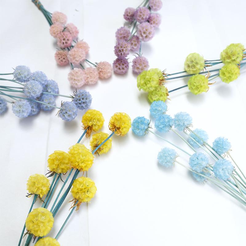 Hoa khô trang trí FY-29