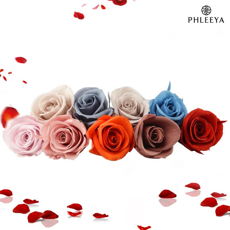 Hoa khô trang trí Hoa hồng vĩnh cửu 3–4cm 12 bông DIY bó hoa hoa khô (HK-19)