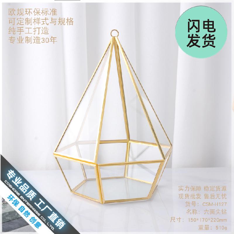 Chậu Đa Giác Nhà kính hình học hoa khô, hoa bất tử decor (DG-129)