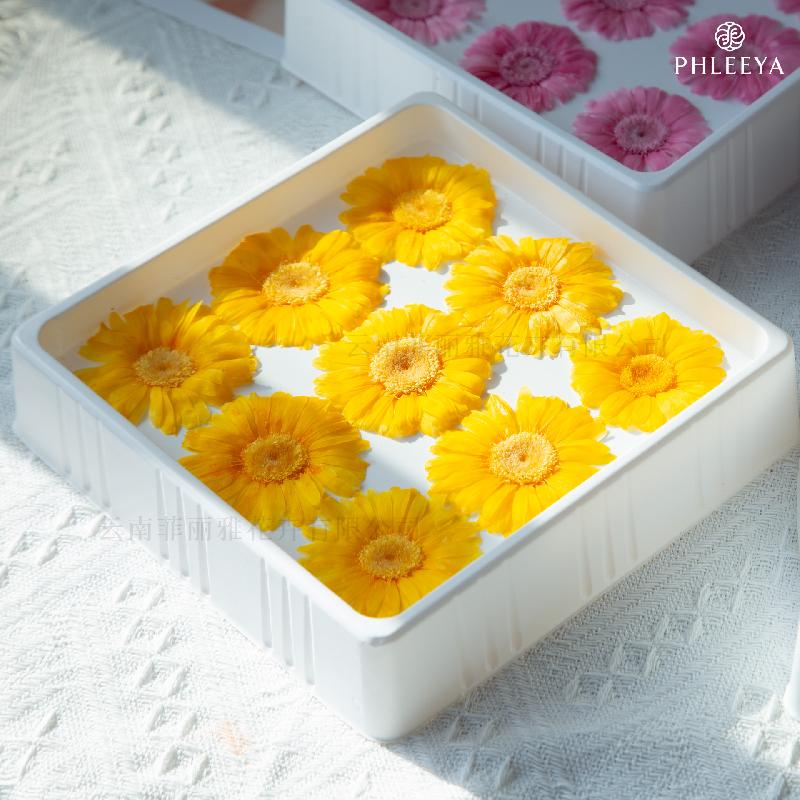 Hoa khô trang trí Hoa hồng vĩnh cửu phối đồng tiền DIY bó hoa quà tặng cao cấp (HK-13)