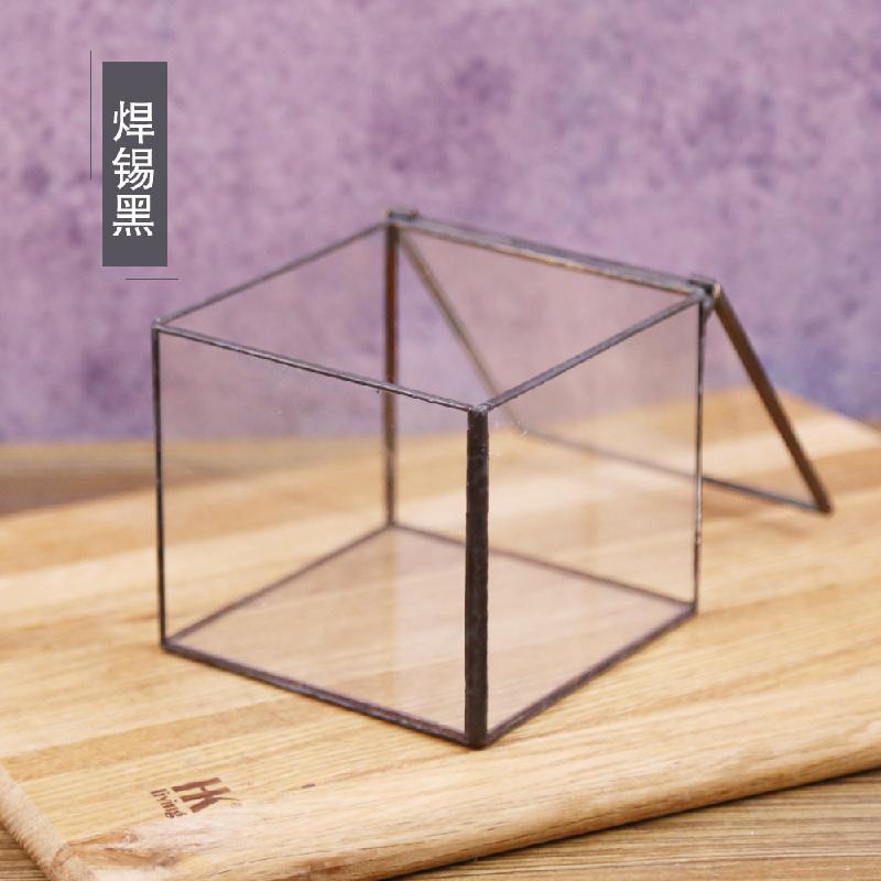 Hộp kính rêu cảnh, bình sinh thái rừng mini (DG-63)