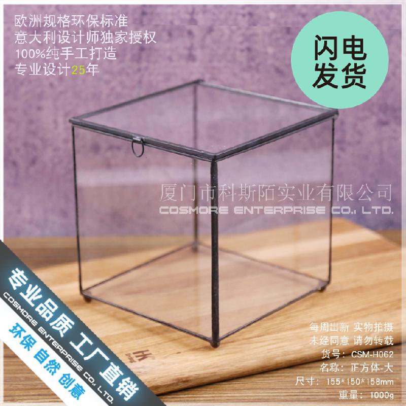 Chậu Đa Giác Nhà kính vuông lớn Terrarium (DG-41)