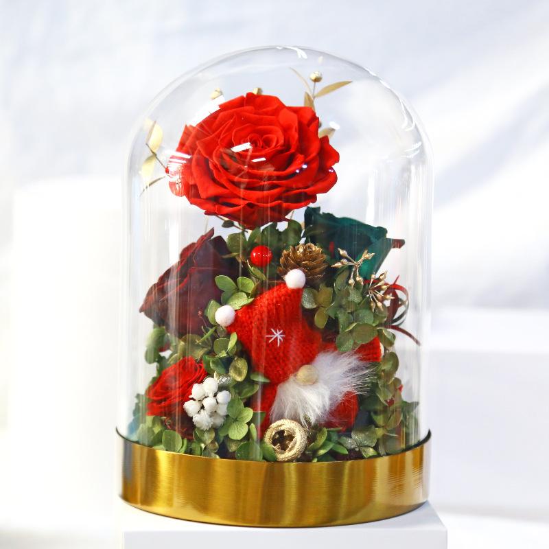 Hoa khô trang trí FY-158