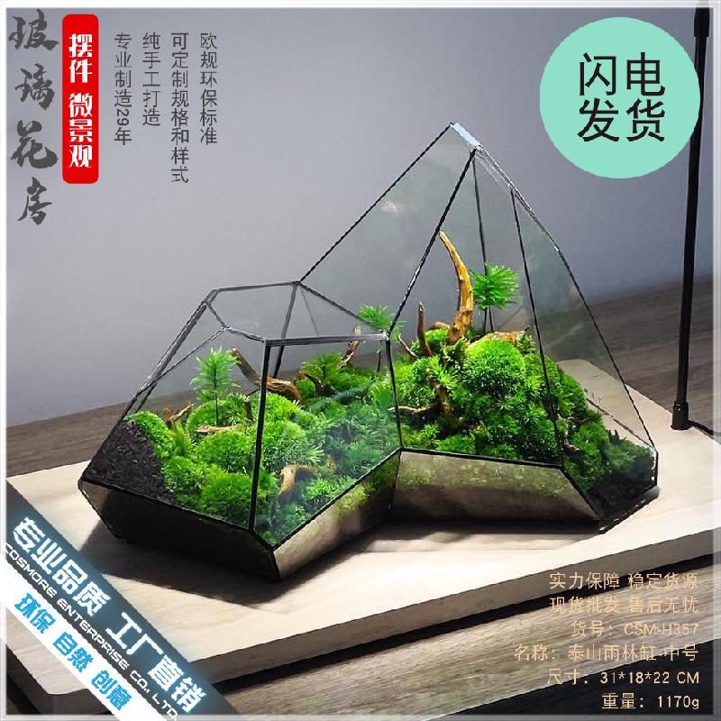 Chậu Đa Giác DG-6 Các cảnh quan nhỏ, rừng mây tảo, hình học rừng, tường kính, phòng hoa không đều, chai sinh thái không đều, các hộp cây thực vật nhiều thịt, các hộp cây cỏ nước và các bình hoa