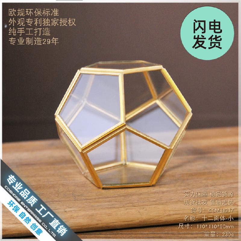Chậu Đa Giác Nhà kính 12 mặt Terrarium sen đá (DG-229)