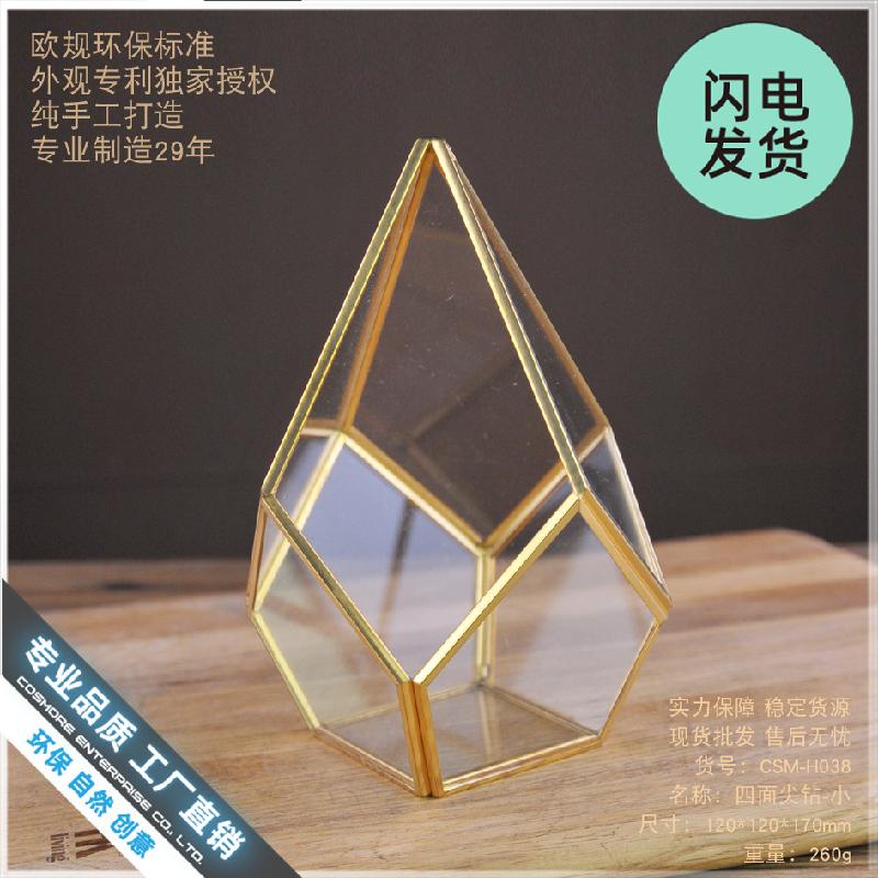 Chậu Đa Giác Bình hoa kính trong suốt đa năng, chậu sen đá, tiểu cảnh mini (DG-50)