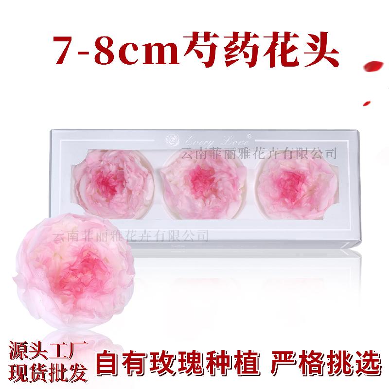 Hoa khô trang trí Hoa mẫu đơn vĩnh cửu 7–8cm 3 bông hạng A DIY hoa trang trí (HK-24)