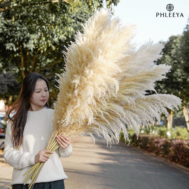 Hoa khô trang trí Cỏ lau Pampas khô bó hoa trang trí cưới phong cách châu Âu (HK-61)