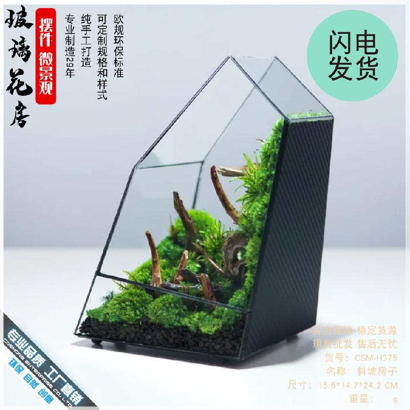 Chậu Đa Giác Bể rừng mưa Terrarium kính (DG-34)