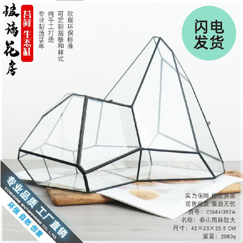 Chậu Đa Giác Bể rêu cảnh rừng nhiệt đới hình học (DG-61)