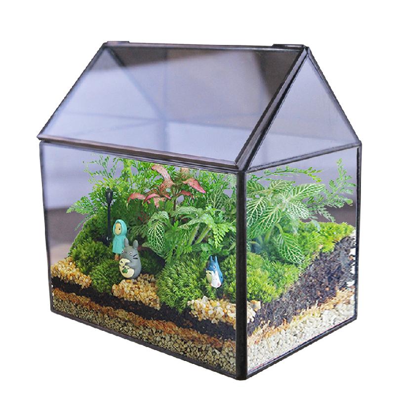 Bể kính tạo cảnh rừng mini (DG-9)