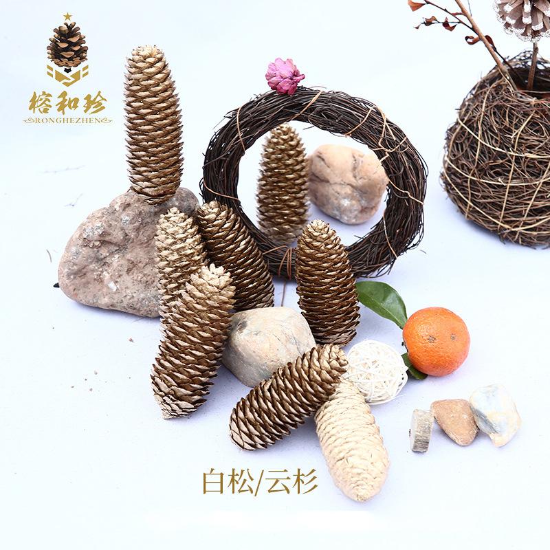 Trang Trí Noel Trang trí Noel: Quả thông vàng, quả nhuộm và quả linh sam