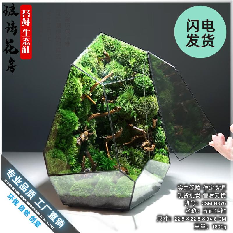 Chậu Đa Giác Nhà kính Terrarium hình học DIY (DG-59)