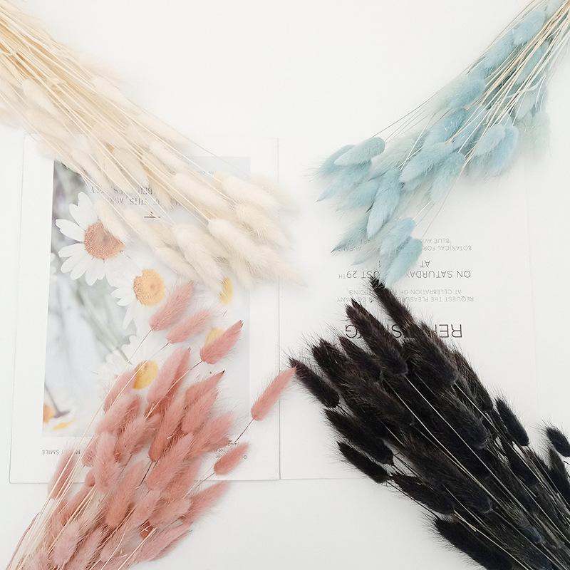 Hoa khô trang trí FY-18