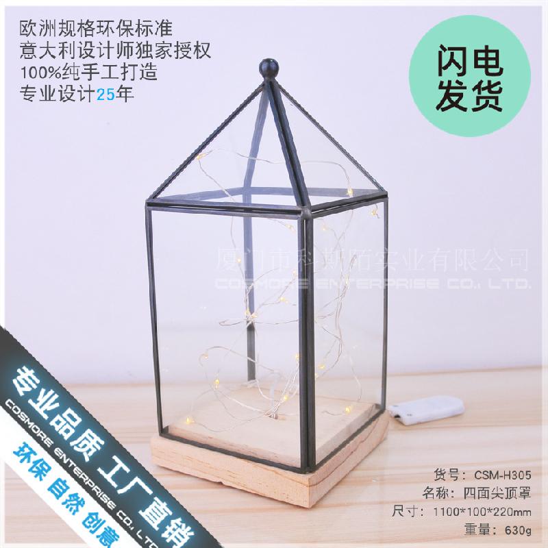 Chậu Đa Giác Đèn kính gỗ đỉnh nhọn LED hoa bất tử (DG-134)
