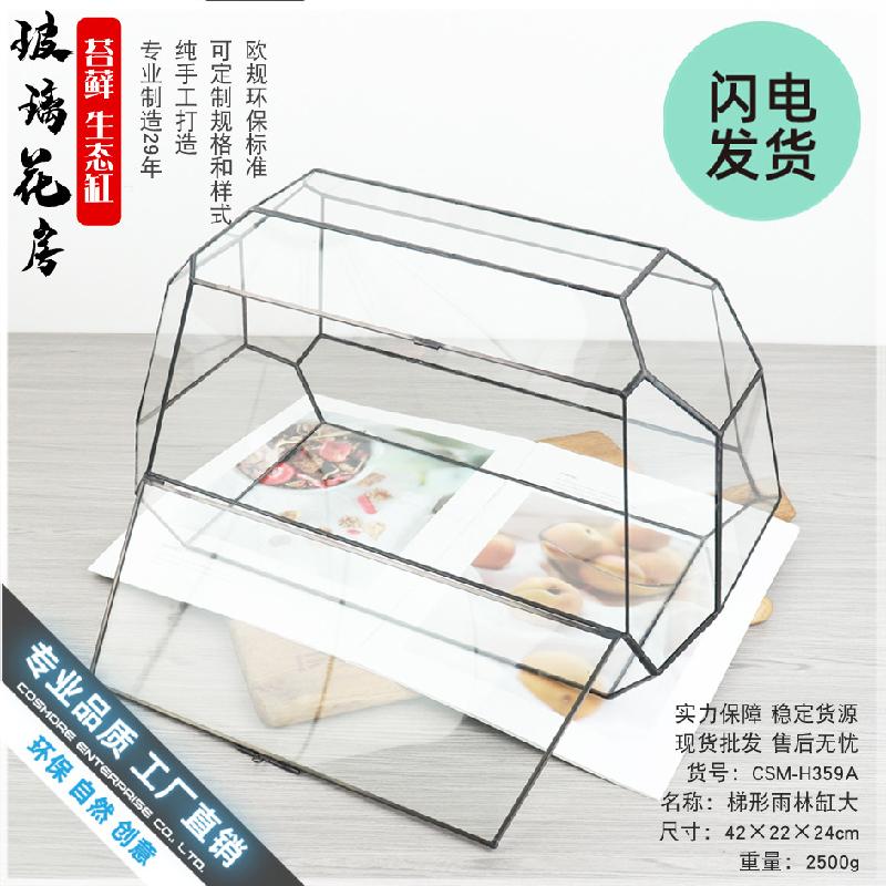 Chậu Đa Giác Bể kính thủy sinh Terrarium, bể rừng mưa mini (DG-56)