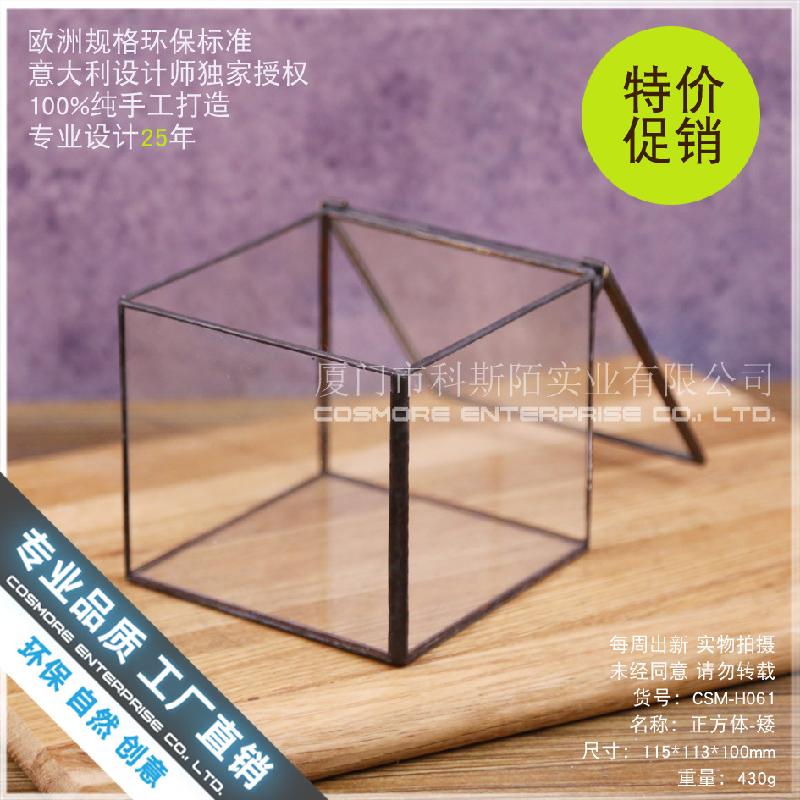Chậu Đa Giác Hộp kính rêu cảnh, bình sinh thái rừng mini (DG-63)