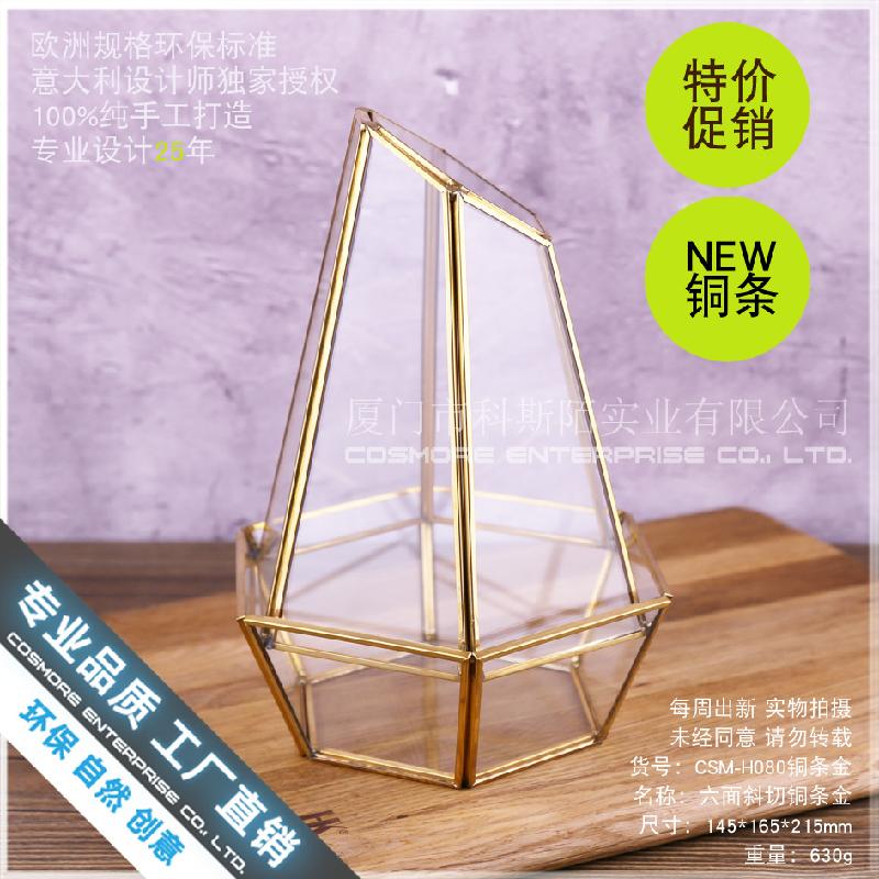 Chậu Đa Giác Nhà kính 6 mặt cắt, Terrarium rêu cảnh (DG-167)