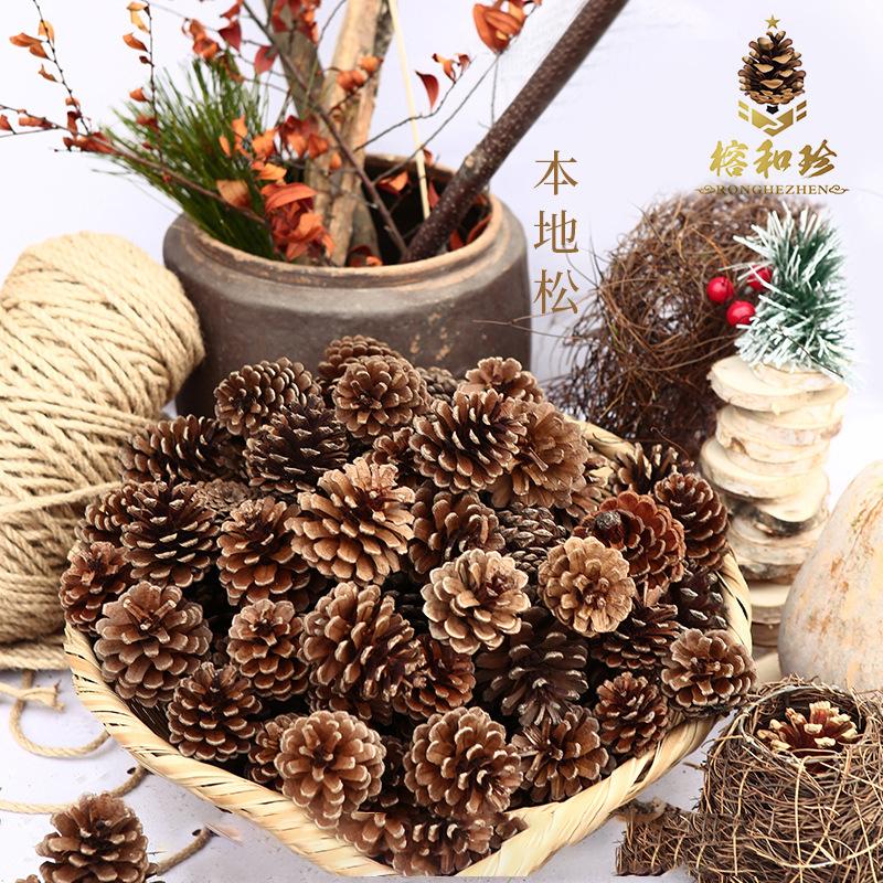 Trang Trí Noel Trang trí Noel: Quả thông cho giáo dục mầm non, trang trí