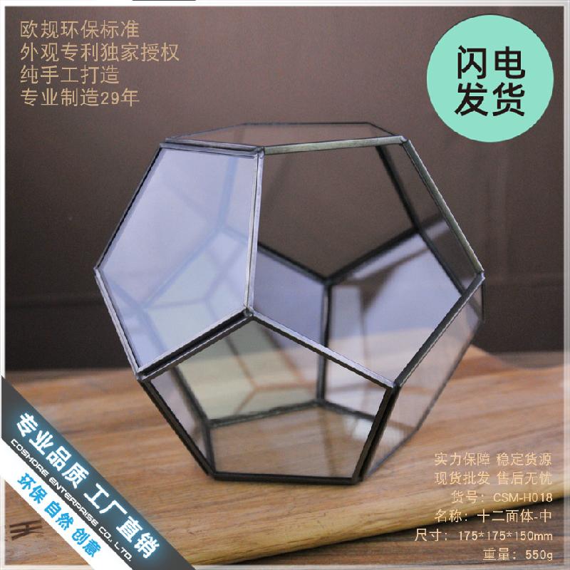 Chậu Đa Giác Nhà kính 12 mặt Terrarium rêu cảnh (DG-17)