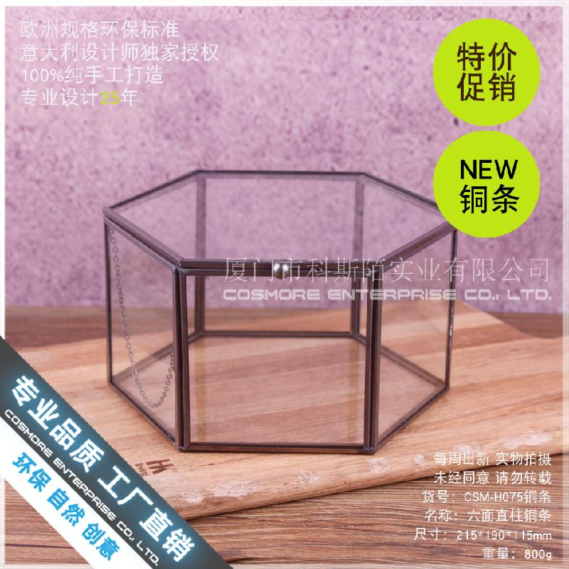 Chậu Đa Giác Nhà kính 6 mặt viền đồng, tiểu cảnh rêu (DG-185)
