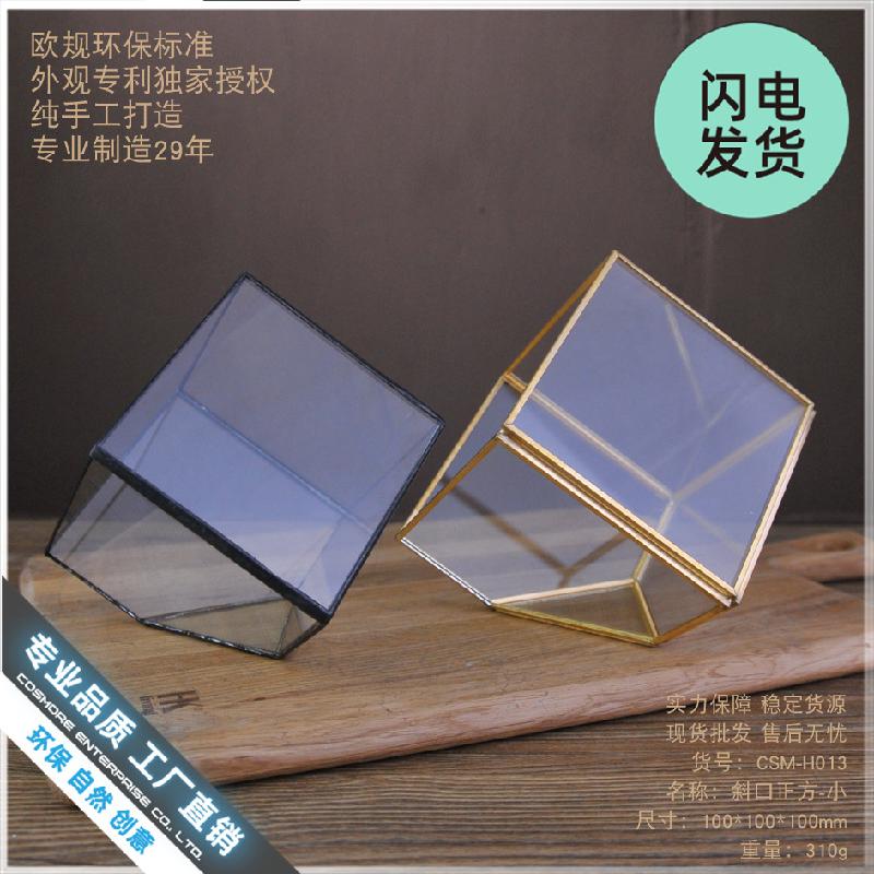 Chậu Đa Giác Nhà kính cây cảnh nghiêng vuông mini (DG-57)