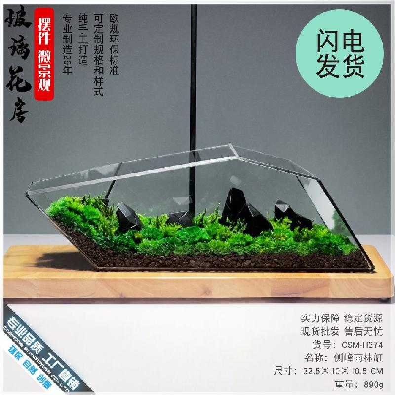 Chậu Đa Giác 苔藓微景观玻璃花房器皿生态雨林缸造景流水植物墙花盆器鱼玻璃罩