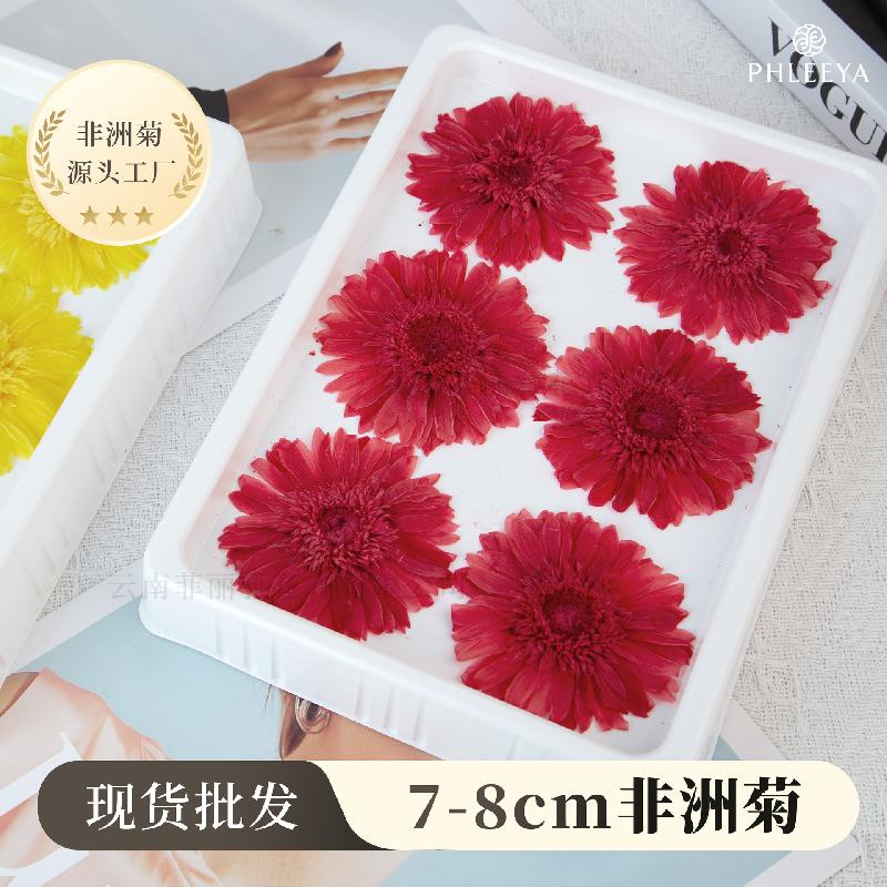 Hoa khô trang trí Hoa hồng vĩnh cửu phối đồng tiền DIY bó hoa quà tặng cao cấp (HK-13)