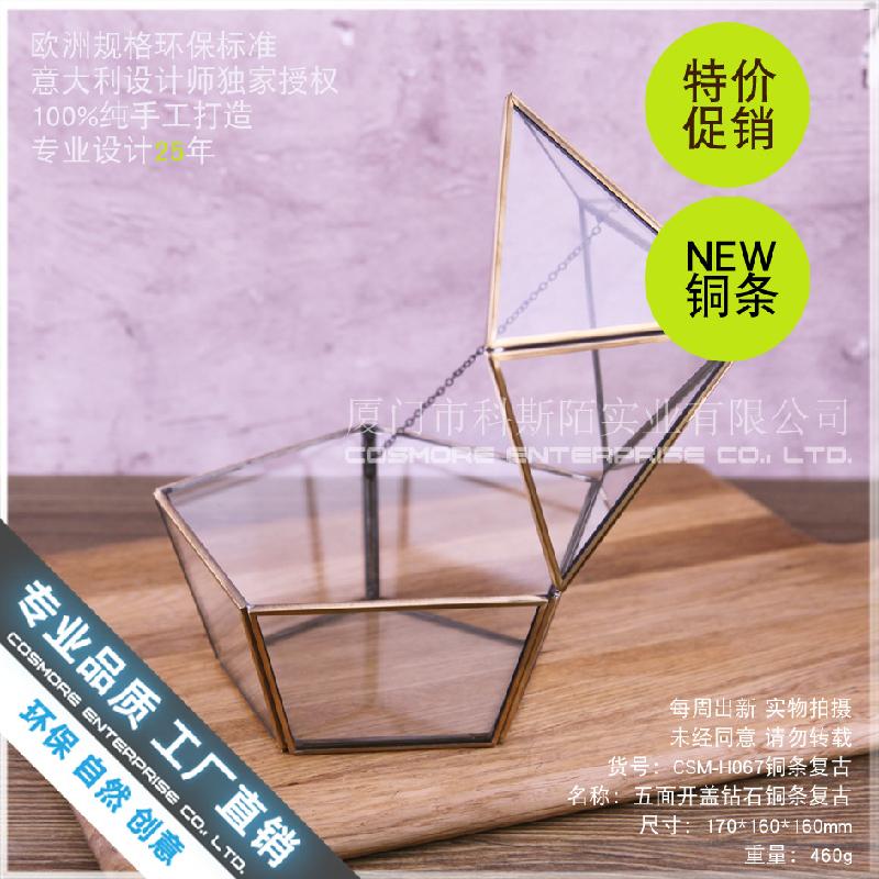 Chậu Đa Giác Nhà kính vàng đa giác, hộp hoa hồng bất tử (DG-157)