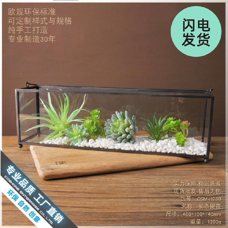Chậu Đa Giác Nhà kính cây xanh mini decor nội thất (DG-84)